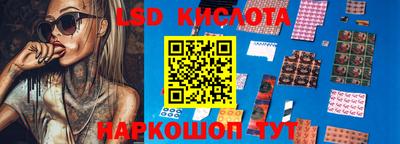 прущие грибы Нальчик