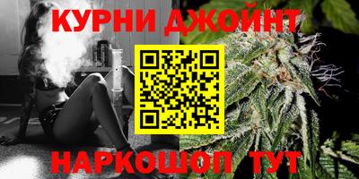прущие грибы Нальчик