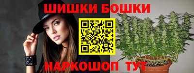 прущие грибы Нальчик