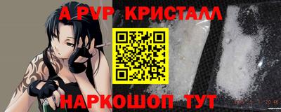 прущие грибы Нальчик