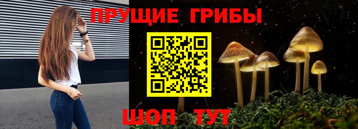 Псилоцибиновые грибы прущие грибы Трёхгорный